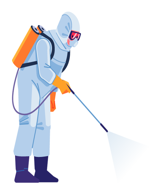 Component Content Image